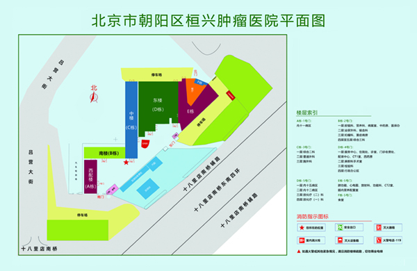 国产中老年操B视频北京市朝阳区桓兴肿瘤医院平面图